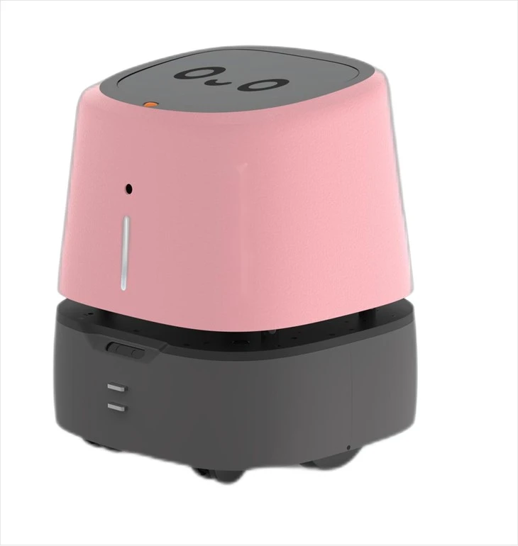 Smart Robot Delivery ze brak